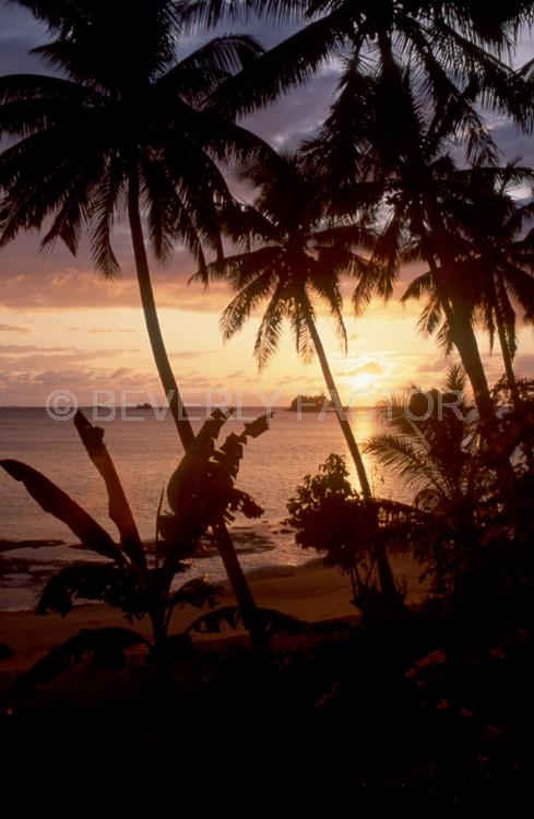 Islands;Sunsets;Sky;clouds;sun;water;red;palm trees;sillouettes;colorful;fiji